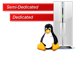 Managed Dedicated Servers